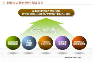 實萬定制版稱重標簽條碼打印軟件在企業(yè)管理中的關鍵作用與咨詢建議